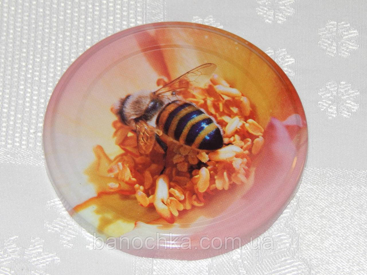 Кришка закаточна твіст-офф розмір 82 мм медовий мікс-2